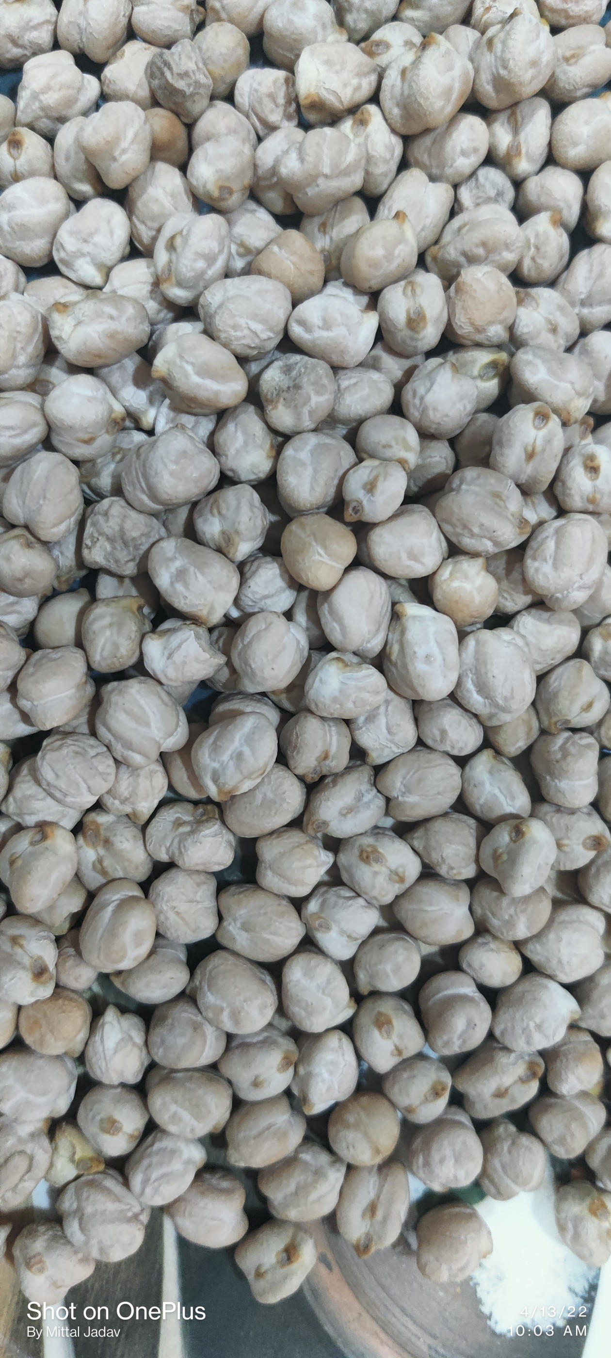 Organic Kabuli Chana